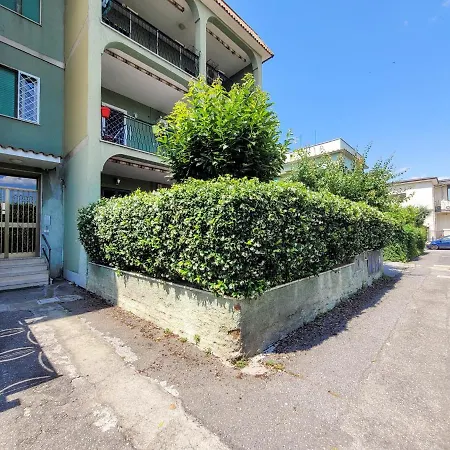 Green Home Apartment
